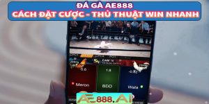 Đá gà AE888 - Cách đặt cược cùng những thủ thuật Win nhanh